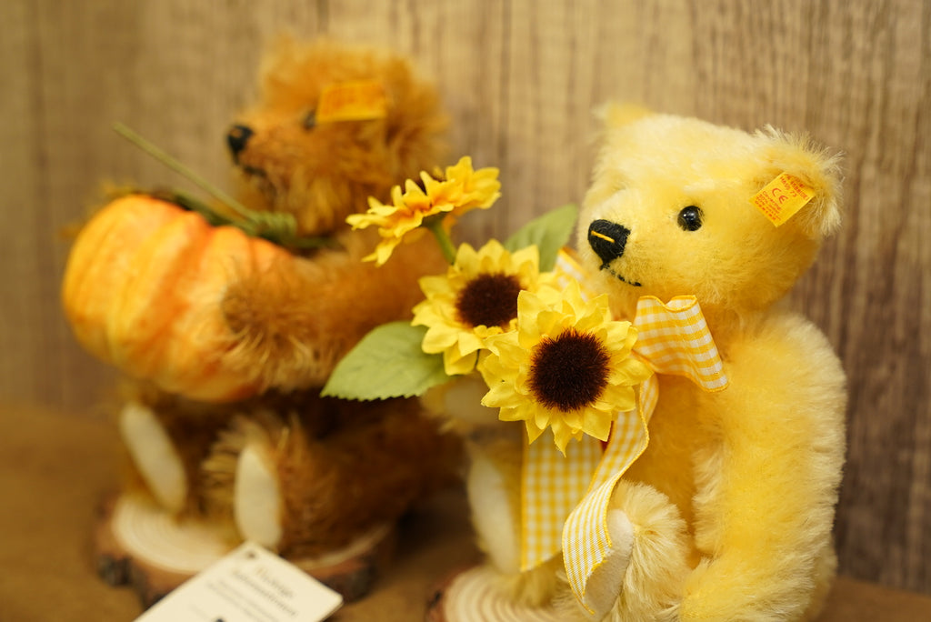 𝗦𝘁𝗲𝗶𝗳𝗳 𝗙𝗼𝘂𝗿 𝗦𝗲𝗮𝘀𝗼𝗻𝘀 𝗦𝗲𝗿𝗶𝗲𝘀 - 𝗦𝘂𝗻𝗳𝗹𝗼𝘄𝗲𝗿 𝗧𝗲𝗱𝗱𝘆 𝗕𝗲𝗮𝗿