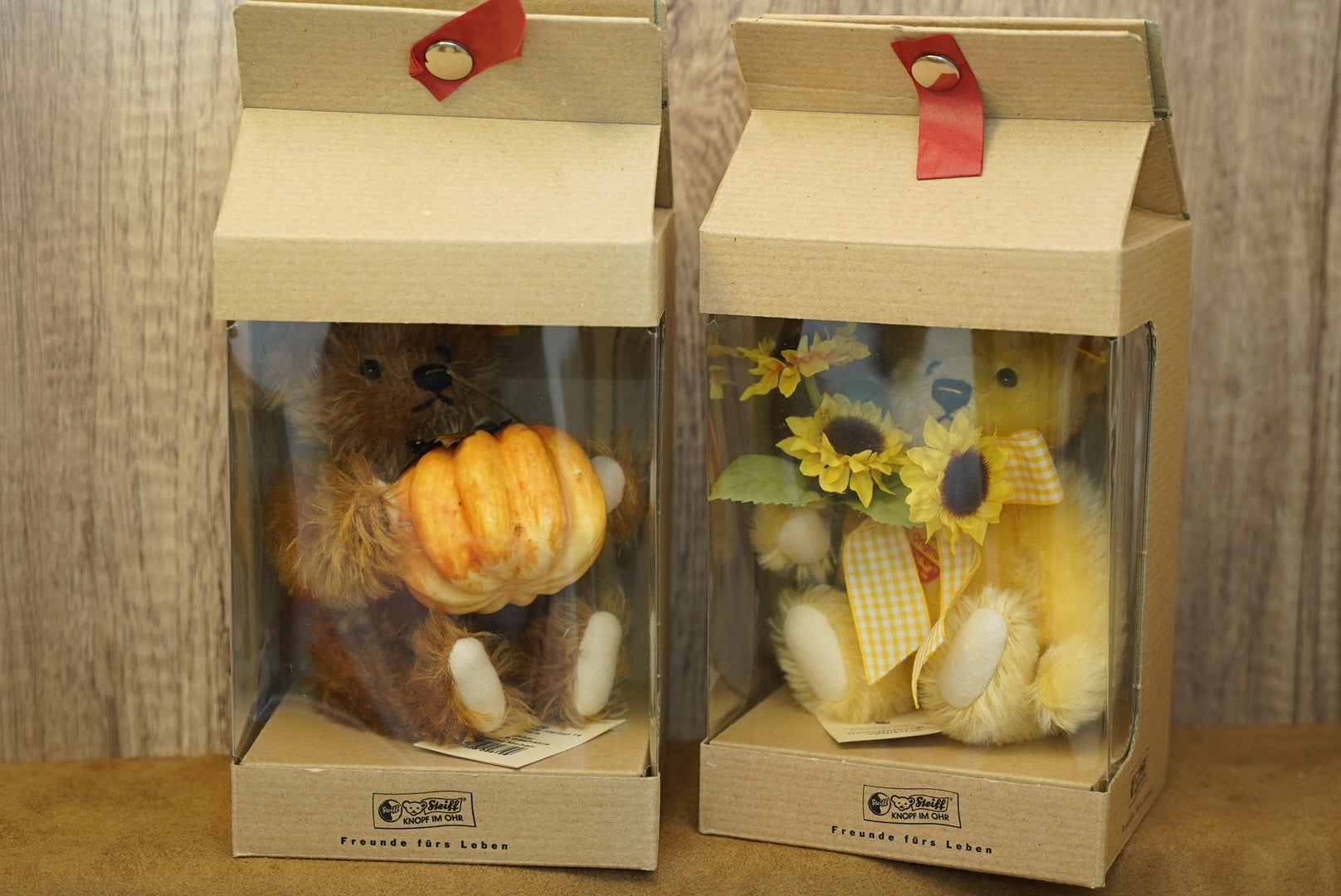 𝗦𝘁𝗲𝗶𝗳𝗳 𝗙𝗼𝘂𝗿 𝗦𝗲𝗮𝘀𝗼𝗻𝘀 𝗦𝗲𝗿𝗶𝗲𝘀 - 𝗦𝘂𝗻𝗳𝗹𝗼𝘄𝗲𝗿 𝗧𝗲𝗱𝗱𝘆 𝗕𝗲𝗮𝗿