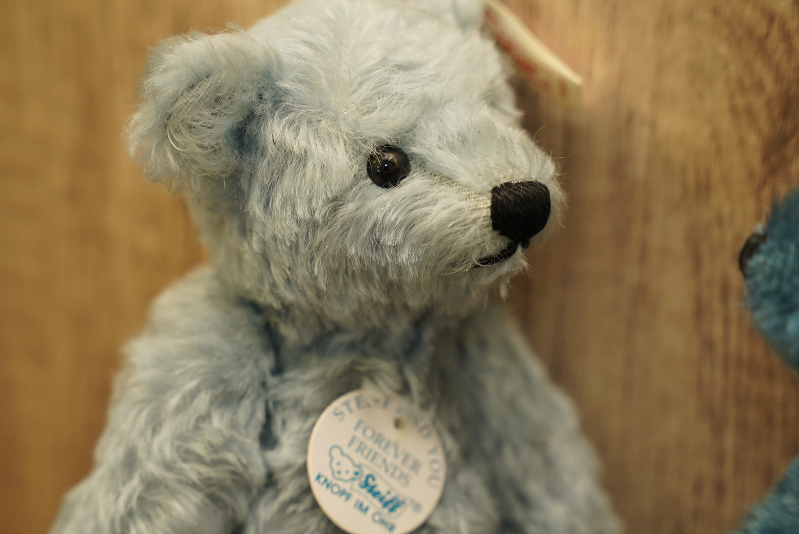 Steiff 「Forever Friends Blue 23」