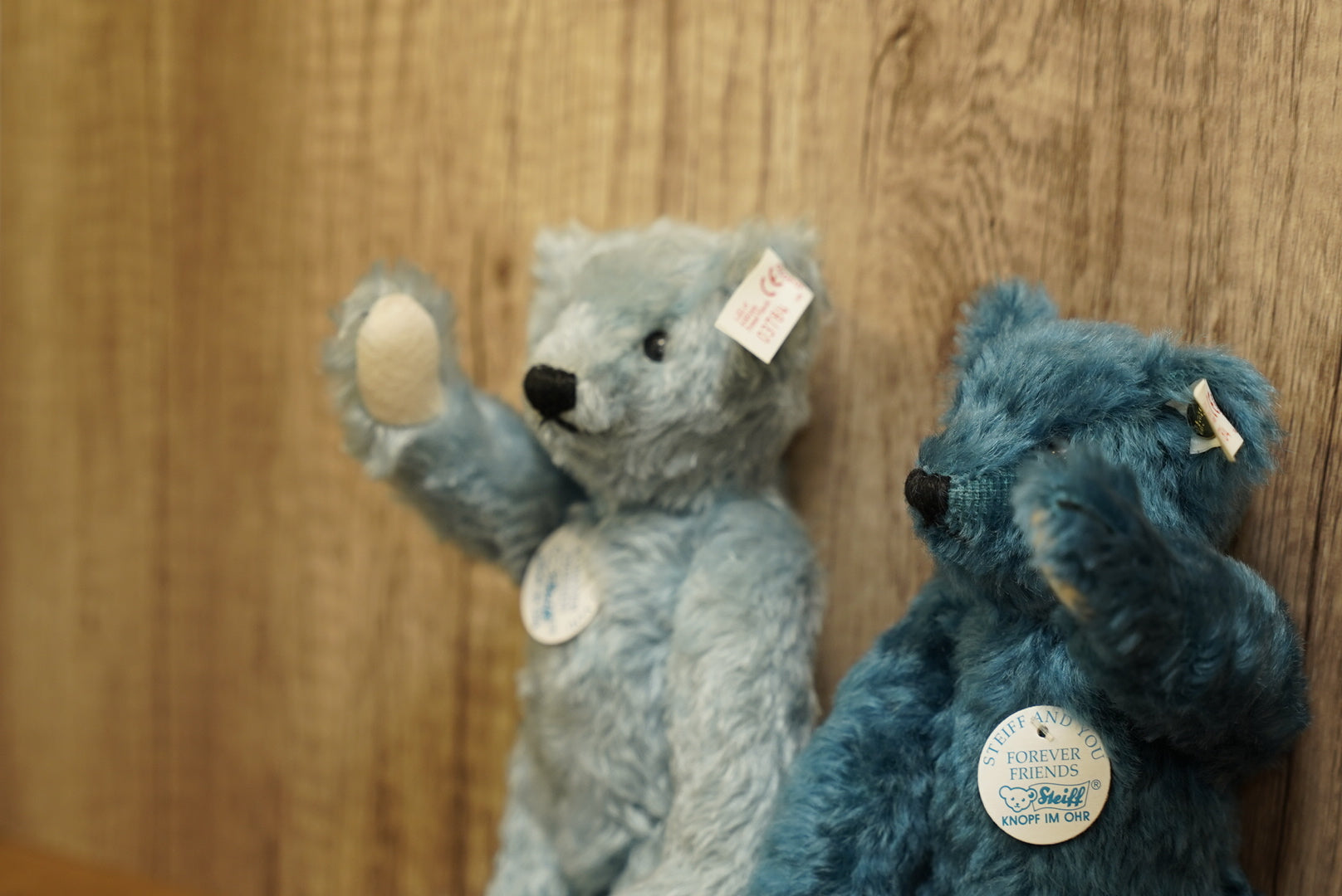𝐒𝐓𝐄𝐈𝐅𝐅 – PIPETAO TEDDY