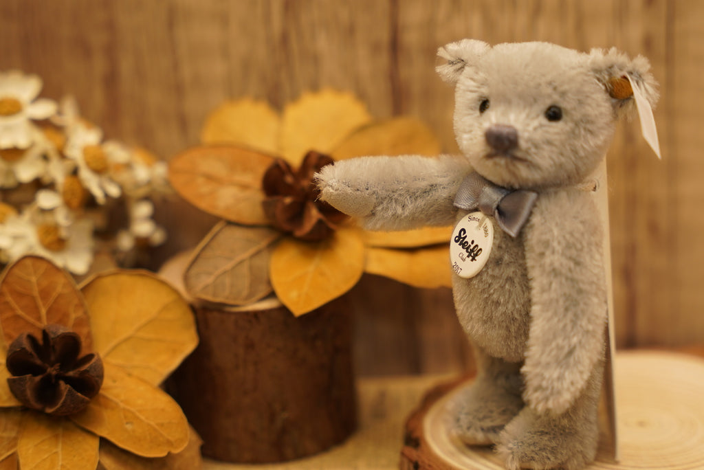 𝑺𝒕𝒆𝒊𝒇𝒇 𝟐𝟎𝟏𝟕 𝑪𝒍𝒖𝒃 𝑴𝒊𝒏𝒊𝒂𝒕𝒖𝒓𝒆 𝑻𝒆𝒅𝒅𝒚 𝑩𝒆𝒂𝒓🧸