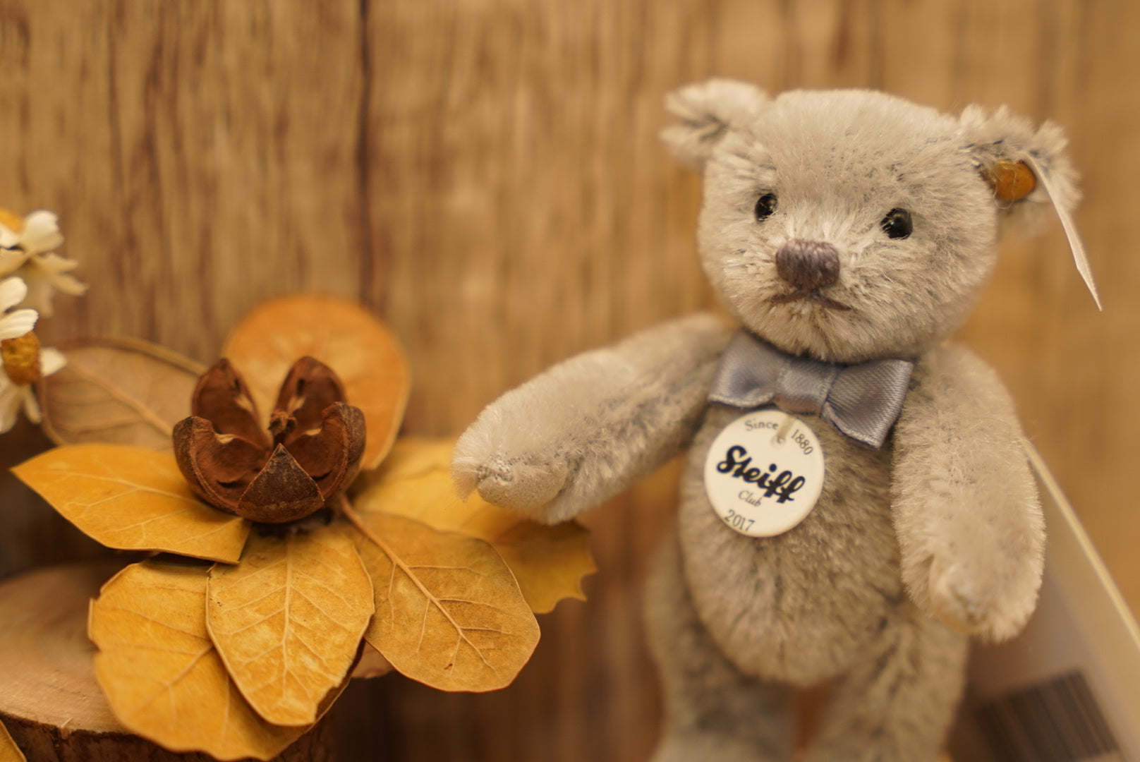 𝑺𝒕𝒆𝒊𝒇𝒇 𝟐𝟎𝟏𝟕 𝑪𝒍𝒖𝒃 𝑴𝒊𝒏𝒊𝒂𝒕𝒖𝒓𝒆 𝑻𝒆𝒅𝒅𝒚 𝑩𝒆𝒂𝒓🧸