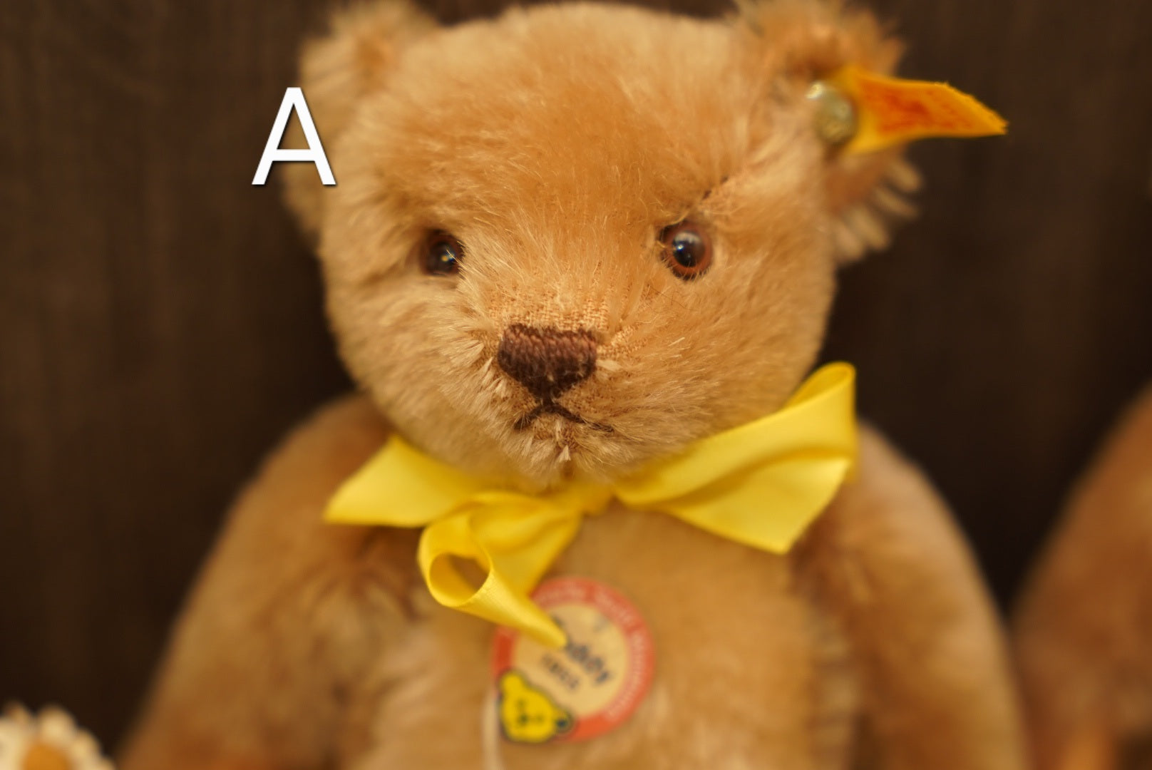 ᴛᴇᴅᴅʏ ʙᴇᴀʀ 𝟣𝟫𝟧𝟧 ʀᴇᴘʟɪᴄᴀ • ʜɪꜱᴛᴏʀɪᴄ ᴍɪɴɪᴀᴛᴜʀᴇꜱ ɪᴠ🐻🍼