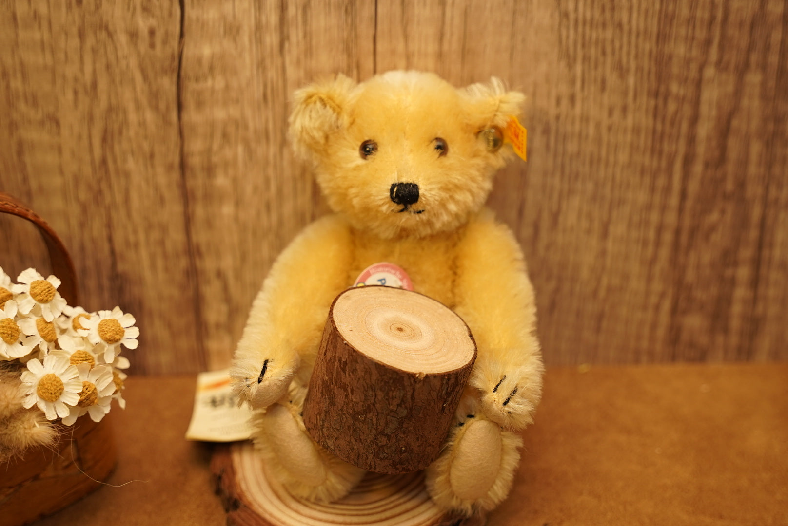 𝕊𝕥𝕖𝕚𝕗𝕗 ℍ𝕚𝕤𝕥𝕠𝕣𝕚𝕔 𝕄𝕚𝕟𝕚𝕒𝕥𝕦𝕣𝕖𝕤 ℙ𝕖𝕥𝕤𝕪🧸