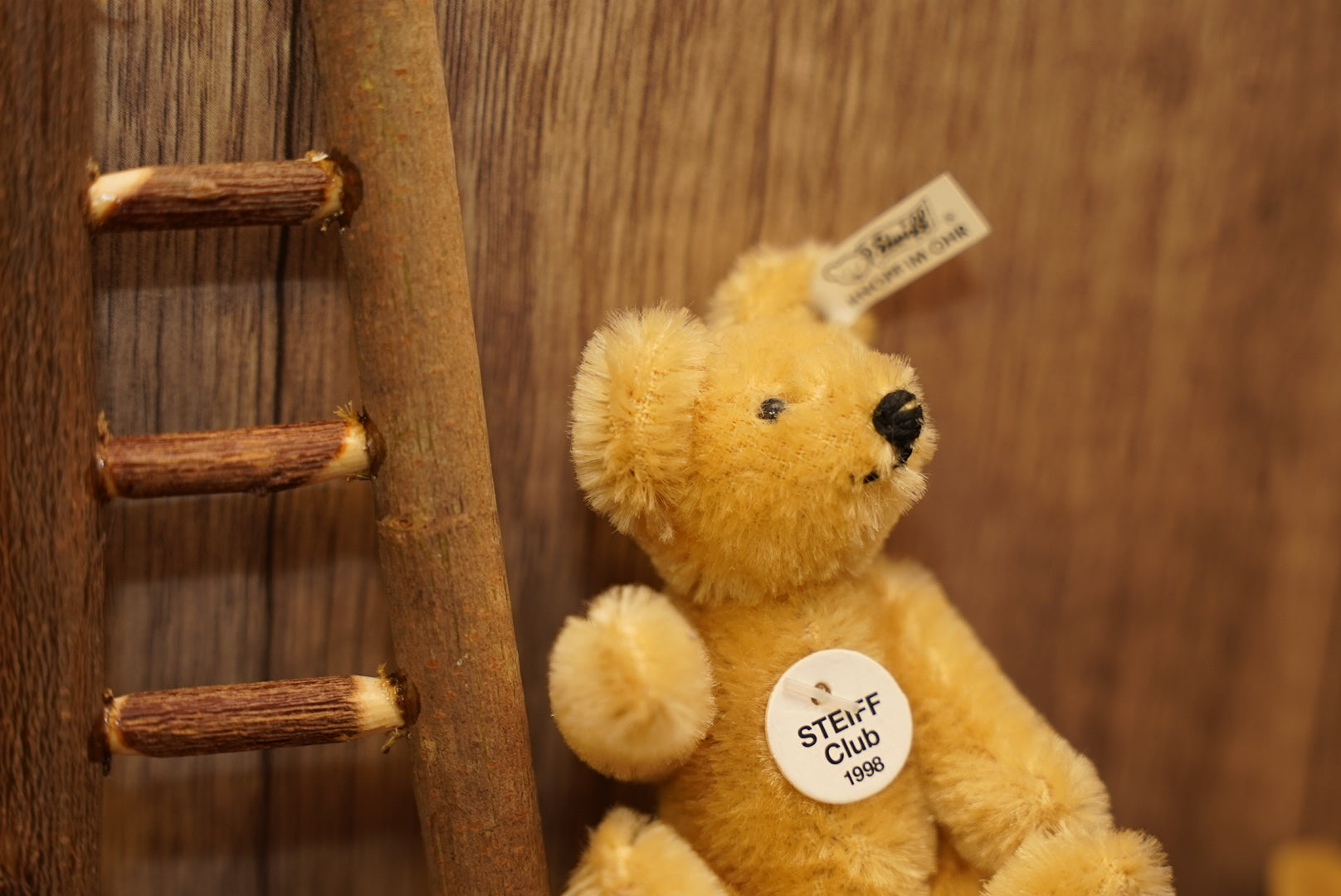 𝑺𝒕𝒆𝒊𝒇𝒇 𝟏𝟗𝟗𝟖 𝑪𝒍𝒖𝒃 𝑴𝒊𝒏𝒊𝒂𝒕𝒖𝒓𝒆 𝑻𝒆𝒅𝒅𝒚 𝑩𝒆𝒂𝒓🧸