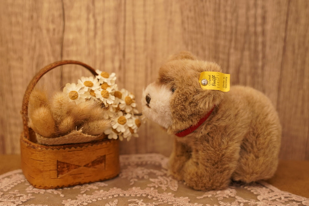 🧸 𝟽𝟶'𝑠 - 𝟾𝟶’𝑠 𝑉𝑖𝑛𝑡𝑎𝑔𝑒 𝑆𝑡𝑒𝑖𝑓𝑓 𝐵𝑟𝑜𝑤𝑛𝑦 𝐵𝑒𝑎𝑟