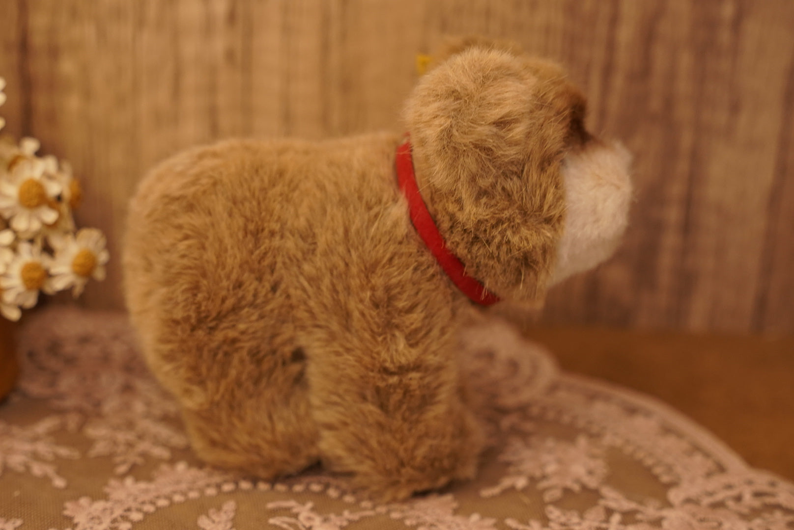 🧸 𝟽𝟶'𝑠 - 𝟾𝟶’𝑠 𝑉𝑖𝑛𝑡𝑎𝑔𝑒 𝑆𝑡𝑒𝑖𝑓𝑓 𝐵𝑟𝑜𝑤𝑛𝑦 𝐵𝑒𝑎𝑟