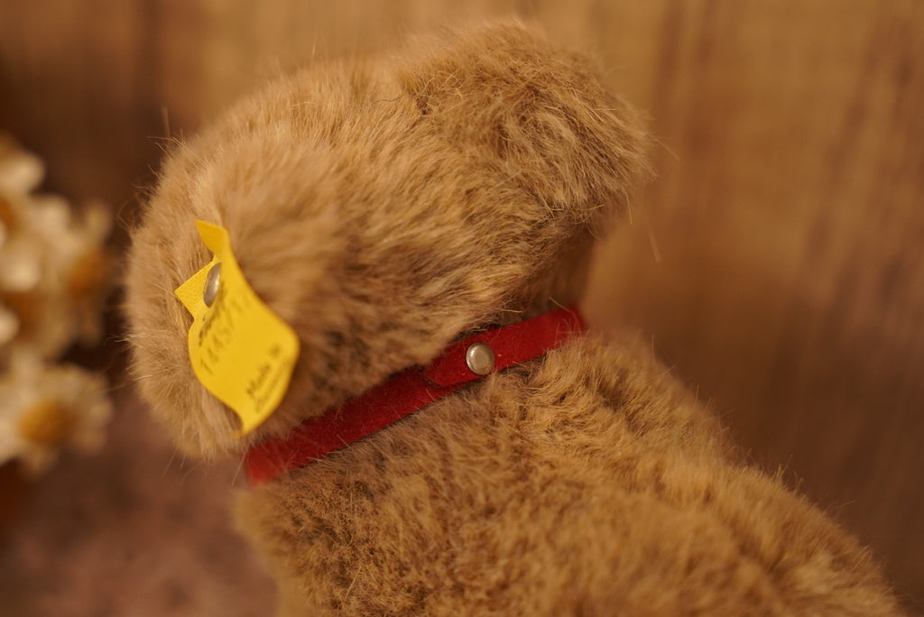 🧸 𝟽𝟶'𝑠 - 𝟾𝟶’𝑠 𝑉𝑖𝑛𝑡𝑎𝑔𝑒 𝑆𝑡𝑒𝑖𝑓𝑓 𝐵𝑟𝑜𝑤𝑛𝑦 𝐵𝑒𝑎𝑟