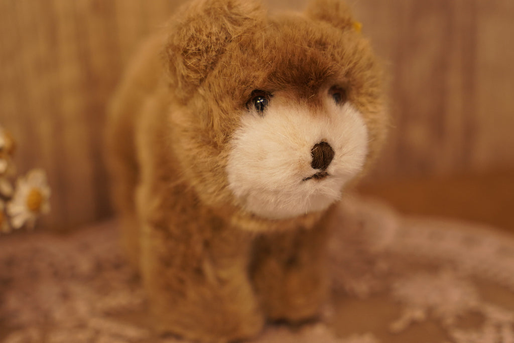 🧸 𝟽𝟶'𝑠 - 𝟾𝟶’𝑠 𝑉𝑖𝑛𝑡𝑎𝑔𝑒 𝑆𝑡𝑒𝑖𝑓𝑓 𝐵𝑟𝑜𝑤𝑛𝑦 𝐵𝑒𝑎𝑟