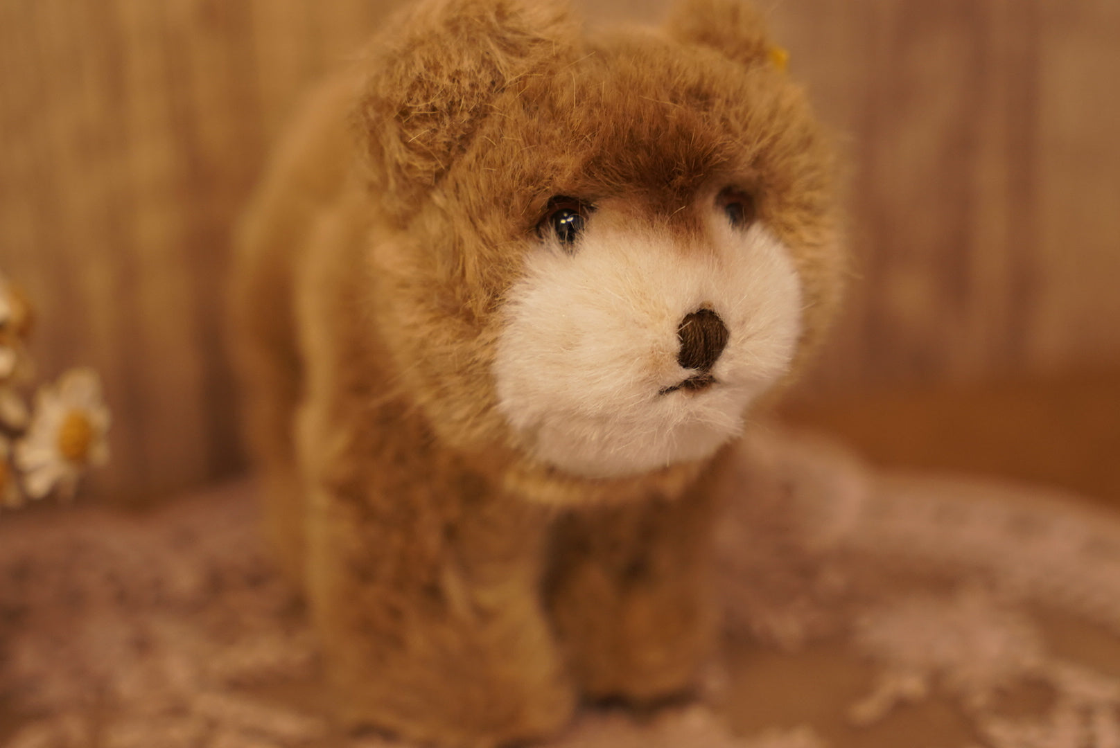 🧸 𝟽𝟶'𝑠 - 𝟾𝟶’𝑠 𝑉𝑖𝑛𝑡𝑎𝑔𝑒 𝑆𝑡𝑒𝑖𝑓𝑓 𝐵𝑟𝑜𝑤𝑛𝑦 𝐵𝑒𝑎𝑟