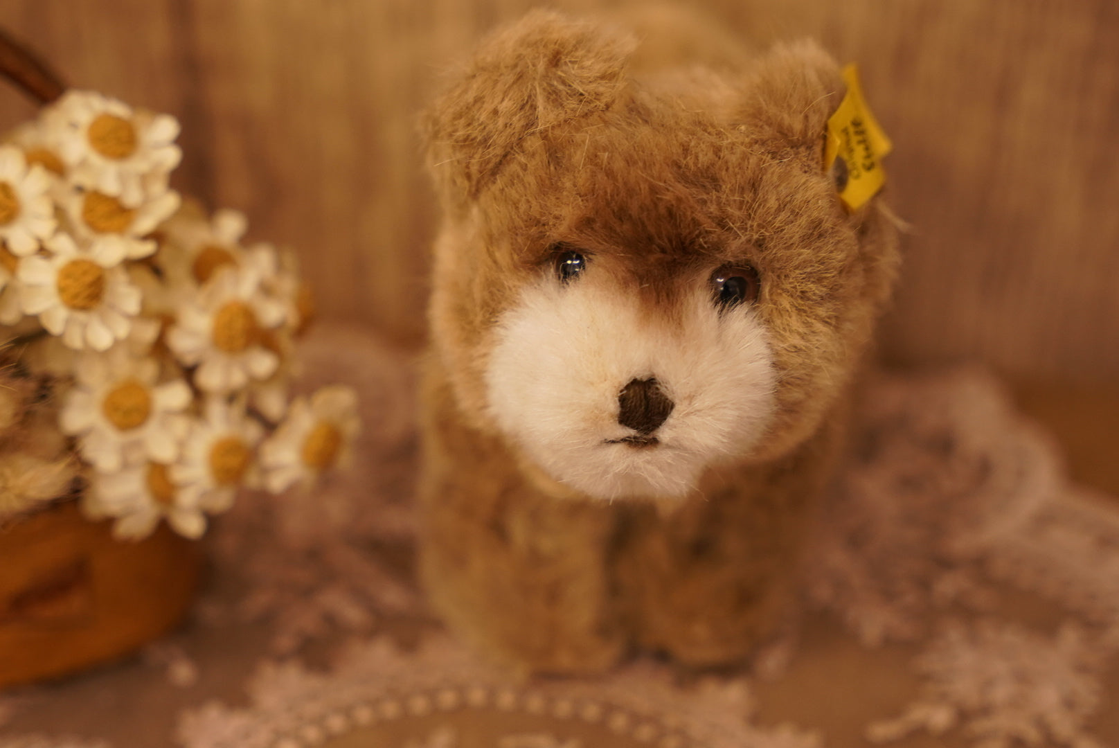 🧸 𝟽𝟶'𝑠 - 𝟾𝟶’𝑠 𝑉𝑖𝑛𝑡𝑎𝑔𝑒 𝑆𝑡𝑒𝑖𝑓𝑓 𝐵𝑟𝑜𝑤𝑛𝑦 𝐵𝑒𝑎𝑟