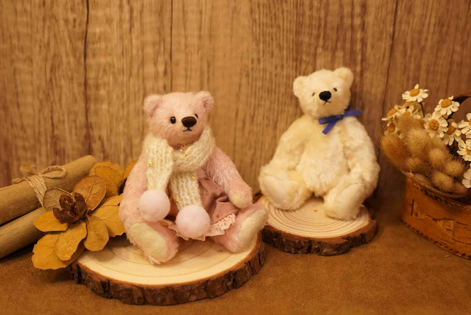 掌心上的小宇宙 ‧ POLARIS BEAR 🧸 ⌖ Part 1 ⌖