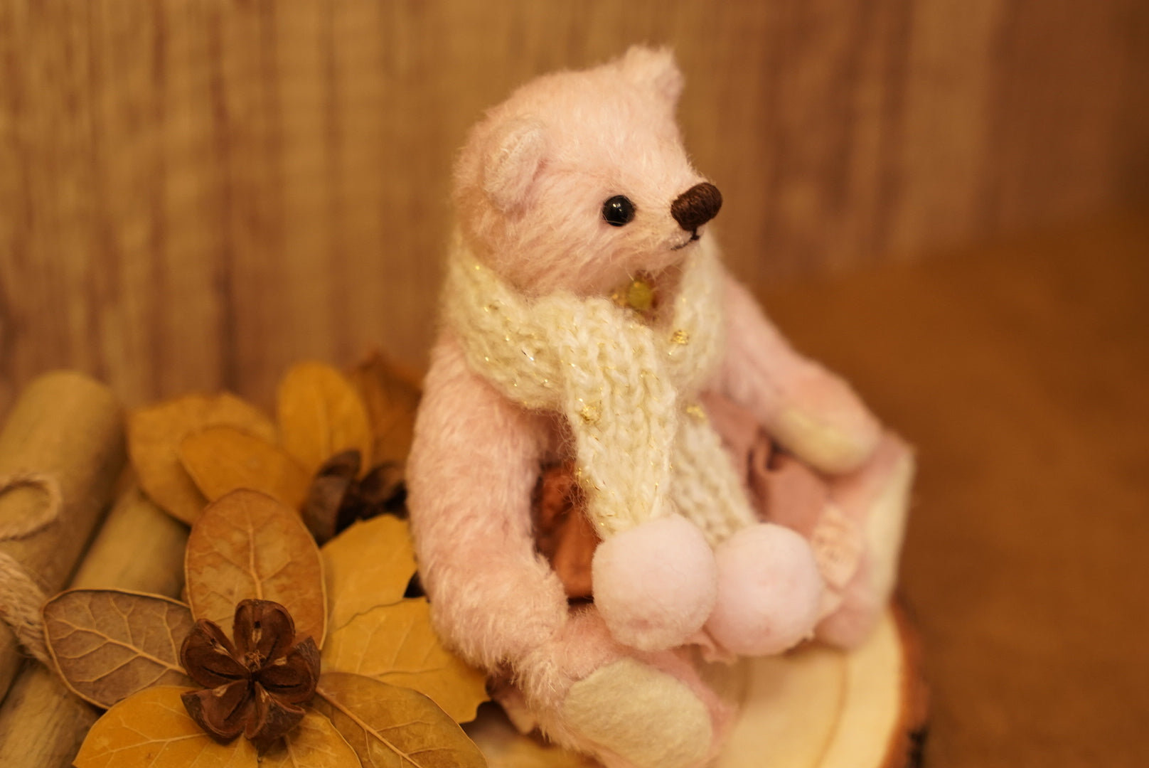 掌心上的小宇宙 ‧ POLARIS BEAR 🧸 ⌖ Part 1 ⌖