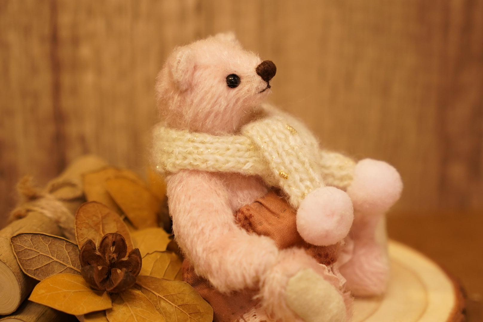 掌心上的小宇宙 ‧ POLARIS BEAR 🧸 ⌖ Part 1 ⌖