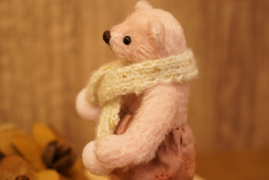 掌心上的小宇宙 ‧ POLARIS BEAR 🧸 ⌖ Part 1 ⌖