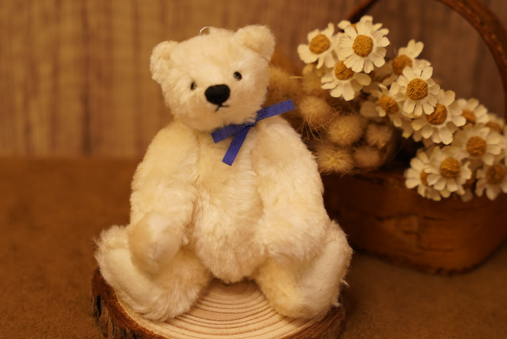 掌心上的小宇宙 ‧ POLARIS BEAR 🧸 ⌖ Part 1 ⌖