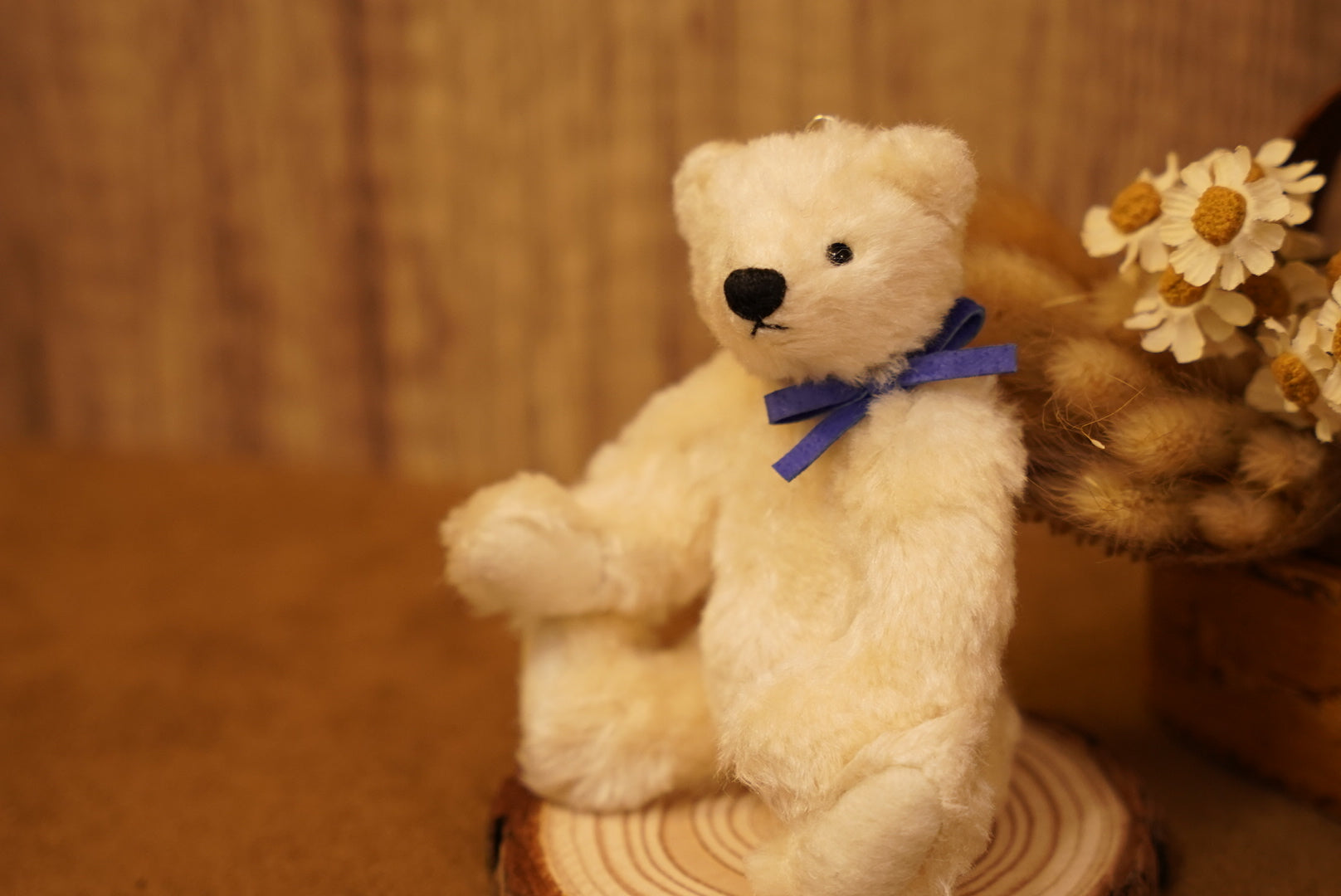 掌心上的小宇宙 ‧ POLARIS BEAR 🧸 ⌖ Part 1 ⌖