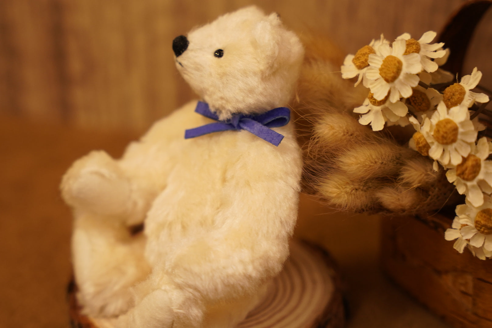掌心上的小宇宙 ‧ POLARIS BEAR 🧸 ⌖ Part 1 ⌖