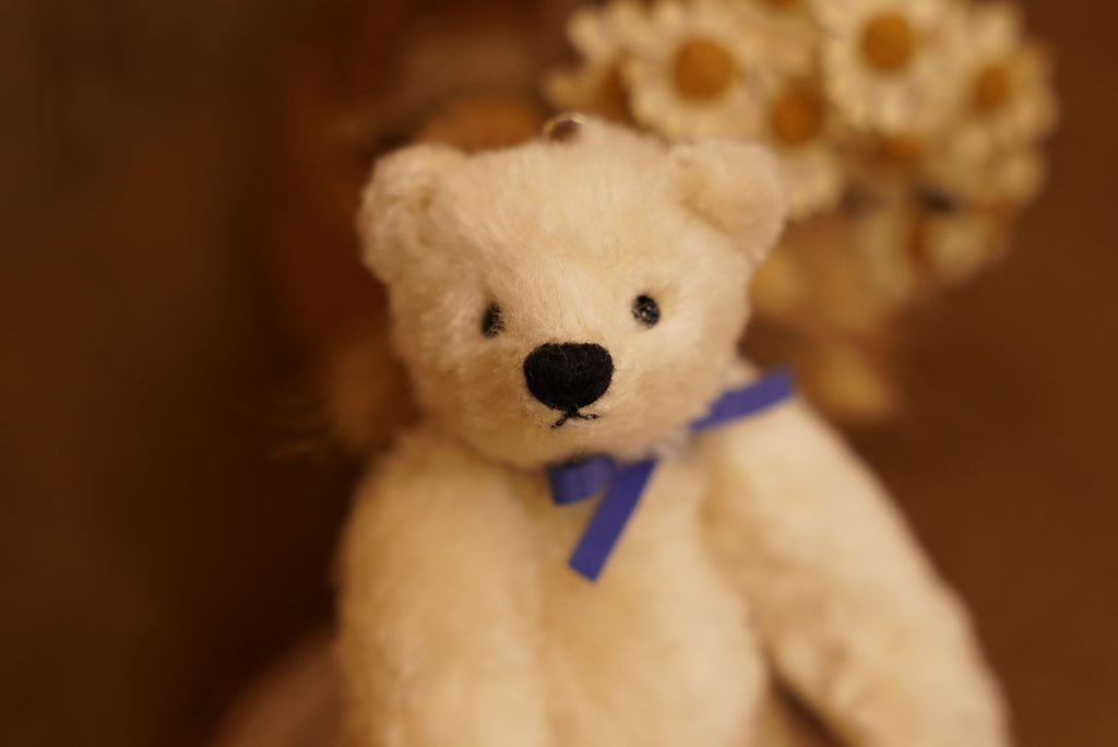 掌心上的小宇宙 ‧ POLARIS BEAR 🧸 ⌖ Part 1 ⌖