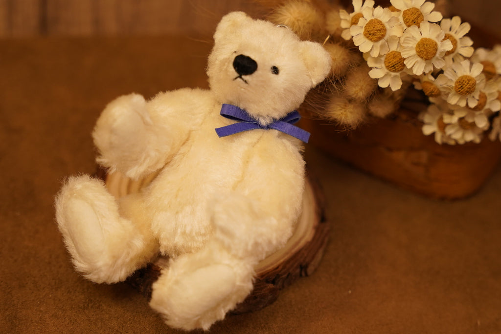 掌心上的小宇宙 ‧ POLARIS BEAR 🧸 ⌖ Part 1 ⌖