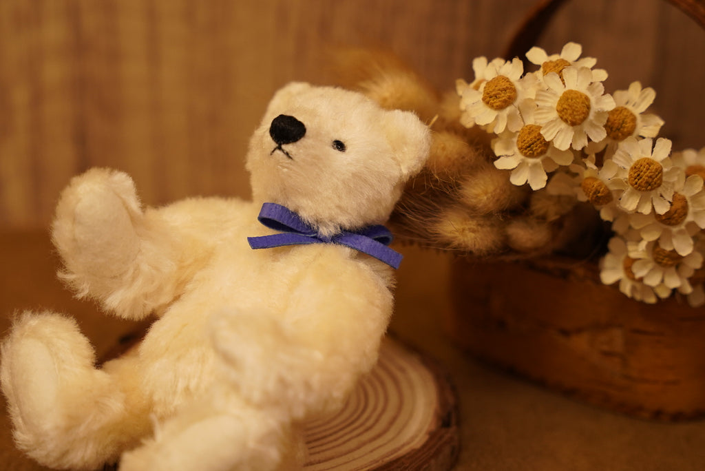 掌心上的小宇宙 ‧ POLARIS BEAR 🧸 ⌖ Part 1 ⌖