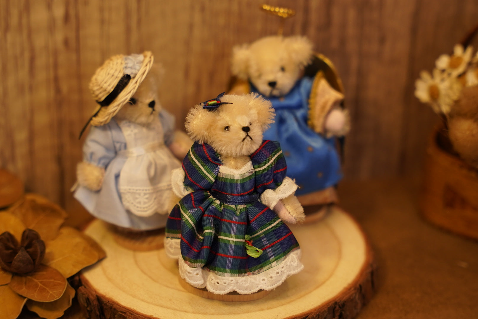 𝐌𝐮𝐟𝐟𝐲 𝐕𝐚𝐧𝐝𝐞𝐫𝐛𝐞𝐚𝐫 𝐌𝐢𝐧𝐢𝐚𝐭𝐮𝐫𝐞 𝐒𝐞𝐫𝐢𝐞𝐬👒🐻