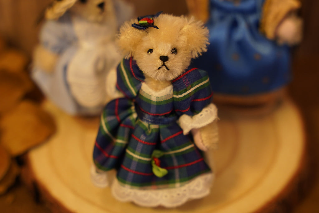 𝐌𝐮𝐟𝐟𝐲 𝐕𝐚𝐧𝐝𝐞𝐫𝐛𝐞𝐚𝐫 𝐌𝐢𝐧𝐢𝐚𝐭𝐮𝐫𝐞 𝐒𝐞𝐫𝐢𝐞𝐬👒🐻