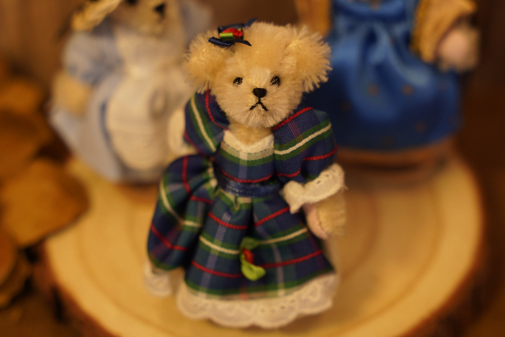 𝐌𝐮𝐟𝐟𝐲 𝐕𝐚𝐧𝐝𝐞𝐫𝐛𝐞𝐚𝐫 𝐌𝐢𝐧𝐢𝐚𝐭𝐮𝐫𝐞 𝐒𝐞𝐫𝐢𝐞𝐬👒🐻