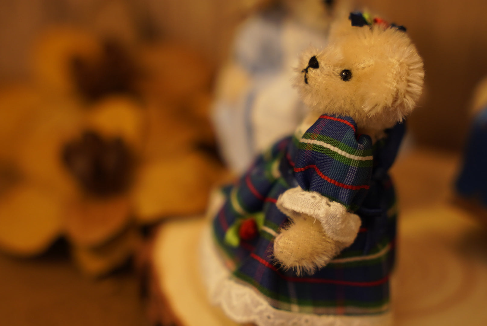 𝐌𝐮𝐟𝐟𝐲 𝐕𝐚𝐧𝐝𝐞𝐫𝐛𝐞𝐚𝐫 𝐌𝐢𝐧𝐢𝐚𝐭𝐮𝐫𝐞 𝐒𝐞𝐫𝐢𝐞𝐬👒🐻