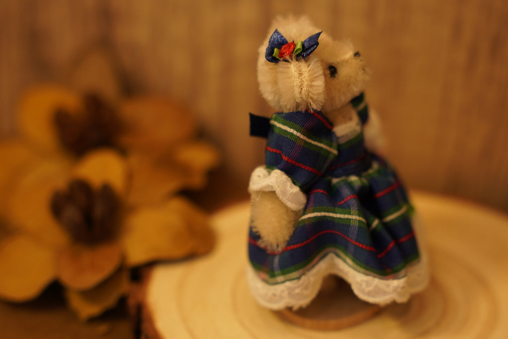 𝐌𝐮𝐟𝐟𝐲 𝐕𝐚𝐧𝐝𝐞𝐫𝐛𝐞𝐚𝐫 𝐌𝐢𝐧𝐢𝐚𝐭𝐮𝐫𝐞 𝐒𝐞𝐫𝐢𝐞𝐬👒🐻