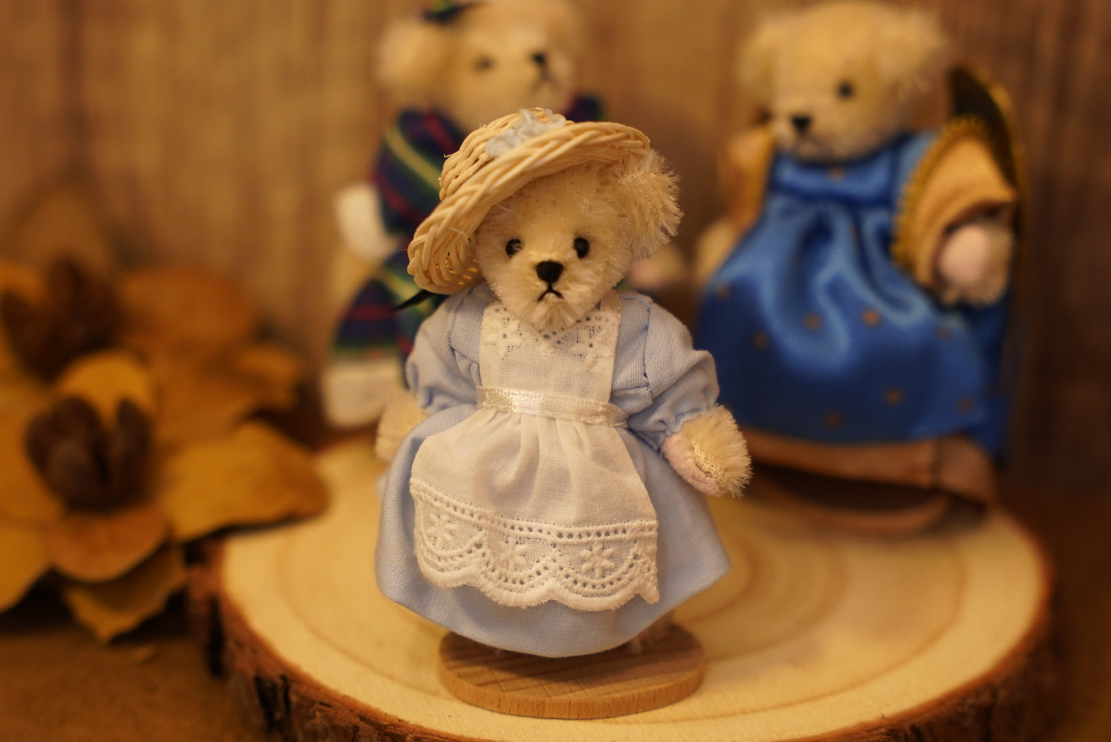 𝐌𝐮𝐟𝐟𝐲 𝐕𝐚𝐧𝐝𝐞𝐫𝐛𝐞𝐚𝐫 𝐌𝐢𝐧𝐢𝐚𝐭𝐮𝐫𝐞 𝐒𝐞𝐫𝐢𝐞𝐬👒🐻
