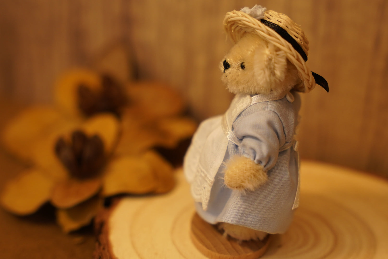 𝐌𝐮𝐟𝐟𝐲 𝐕𝐚𝐧𝐝𝐞𝐫𝐛𝐞𝐚𝐫 𝐌𝐢𝐧𝐢𝐚𝐭𝐮𝐫𝐞 𝐒𝐞𝐫𝐢𝐞𝐬👒🐻