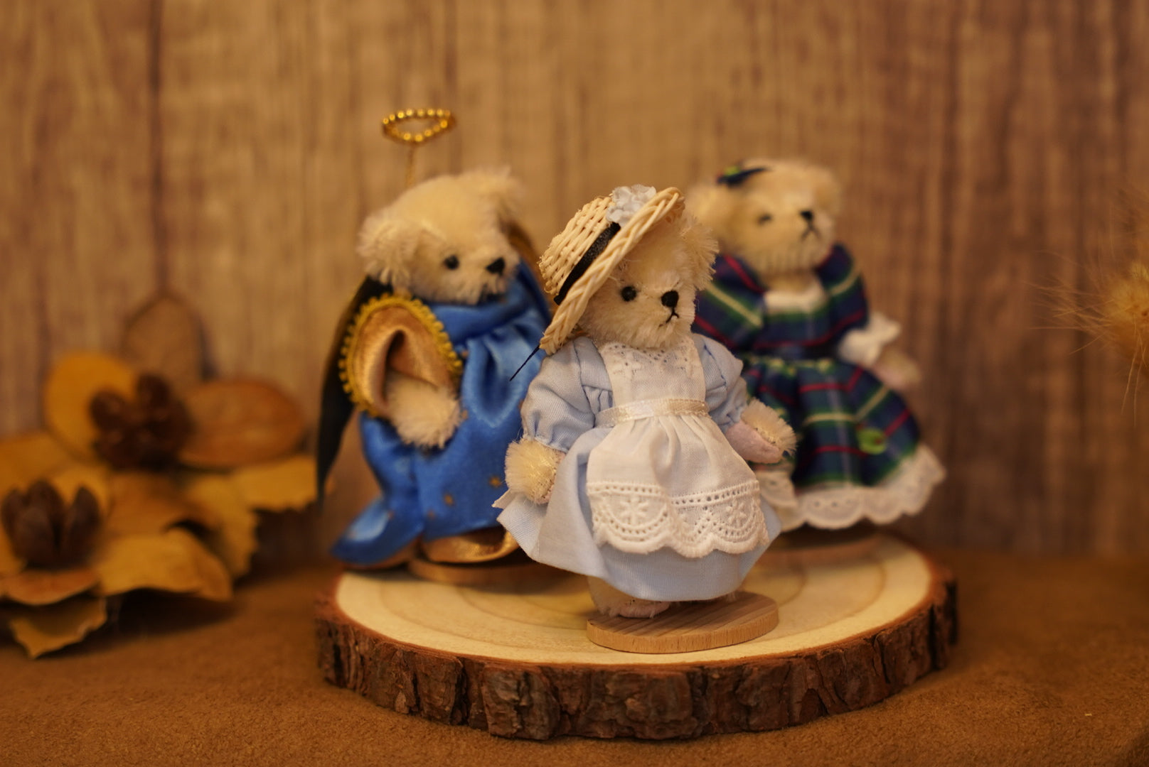 𝐌𝐮𝐟𝐟𝐲 𝐕𝐚𝐧𝐝𝐞𝐫𝐛𝐞𝐚𝐫 𝐌𝐢𝐧𝐢𝐚𝐭𝐮𝐫𝐞 𝐒𝐞𝐫𝐢𝐞𝐬👒🐻