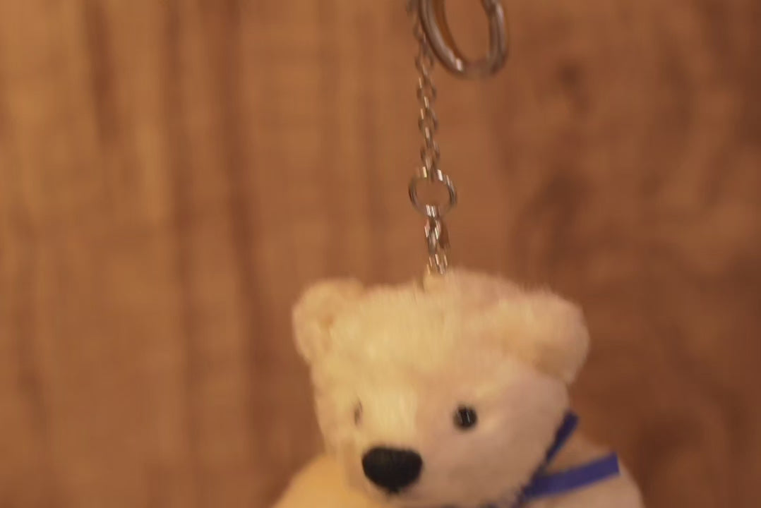 掌心上的小宇宙 ‧ POLARIS BEAR 🧸 ⌖ Part 1 ⌖