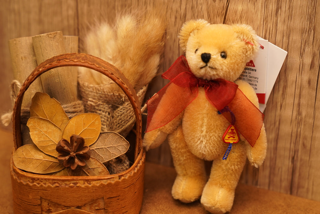 ᴄʟᴇᴍᴇɴꜱ ɴᴏꜱᴛᴀʟɢɪᴀ ᴛᴇᴅᴅʏ 𝟣𝟤.𝟧ᴄᴍ