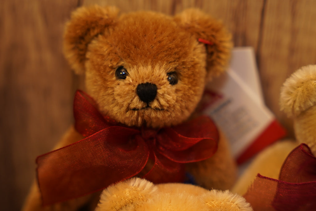 ᴄʟᴇᴍᴇɴꜱ ɴᴏꜱᴛᴀʟɢɪᴀ ᴛᴇᴅᴅʏ 𝟣𝟤.𝟧ᴄᴍ