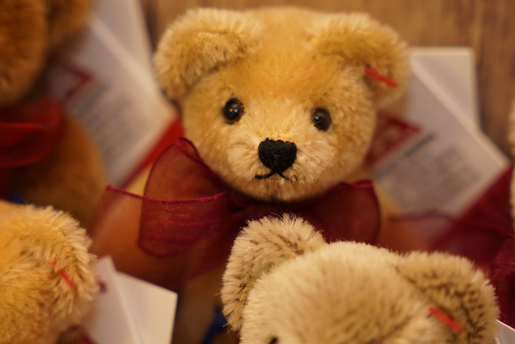 ᴄʟᴇᴍᴇɴꜱ ɴᴏꜱᴛᴀʟɢɪᴀ ᴛᴇᴅᴅʏ 𝟣𝟤.𝟧ᴄᴍ