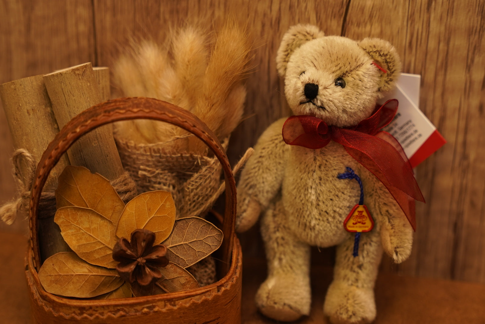 ᴄʟᴇᴍᴇɴꜱ ɴᴏꜱᴛᴀʟɢɪᴀ ᴛᴇᴅᴅʏ 𝟣𝟤.𝟧ᴄᴍ