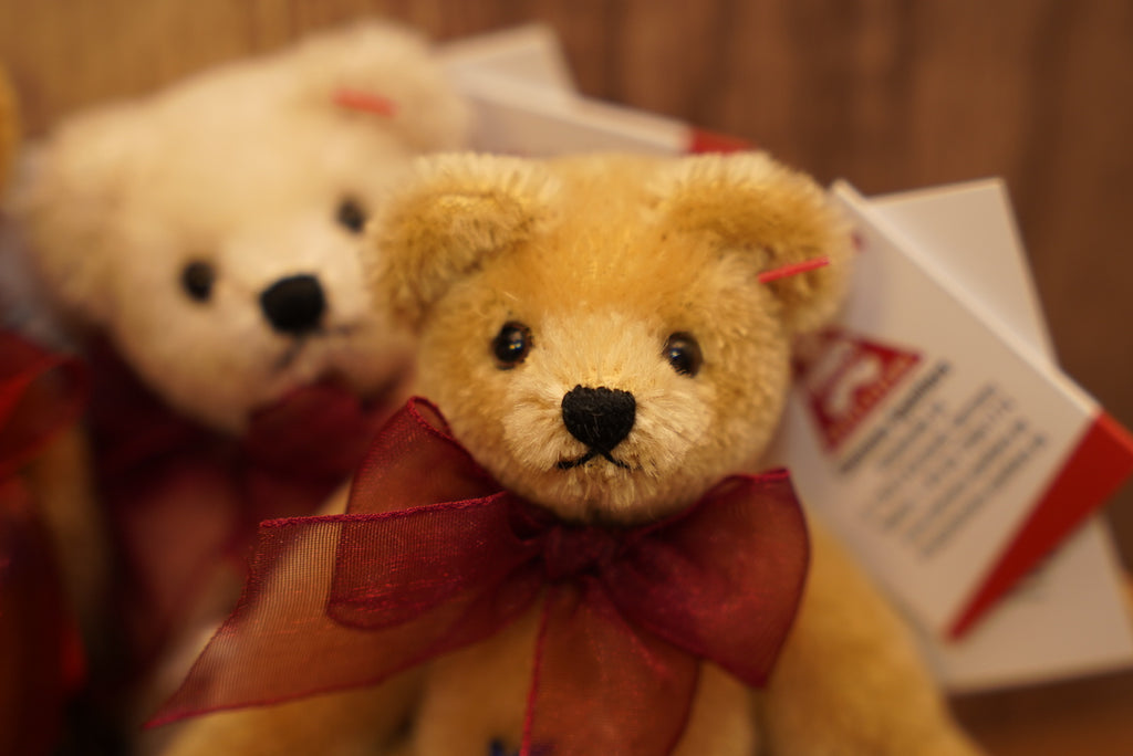 ᴄʟᴇᴍᴇɴꜱ ɴᴏꜱᴛᴀʟɢɪᴀ ᴛᴇᴅᴅʏ 𝟣𝟤.𝟧ᴄᴍ