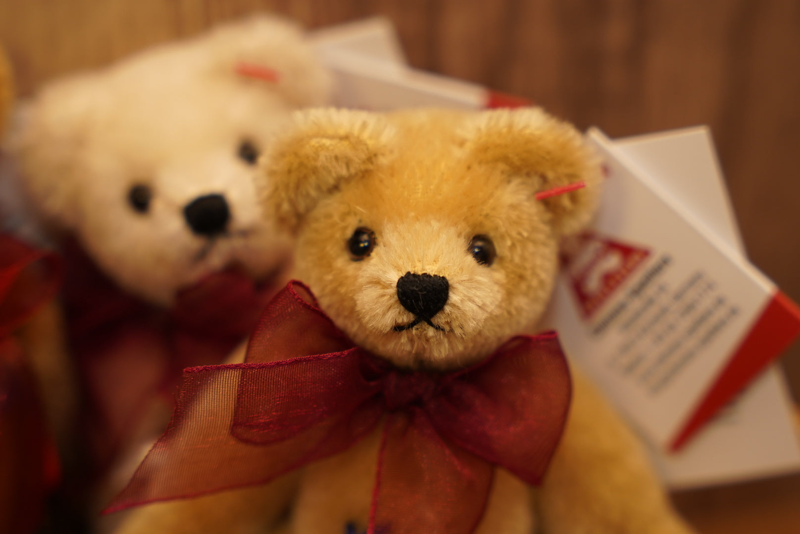 ᴄʟᴇᴍᴇɴꜱ ɴᴏꜱᴛᴀʟɢɪᴀ ᴛᴇᴅᴅʏ 𝟣𝟤.𝟧ᴄᴍ