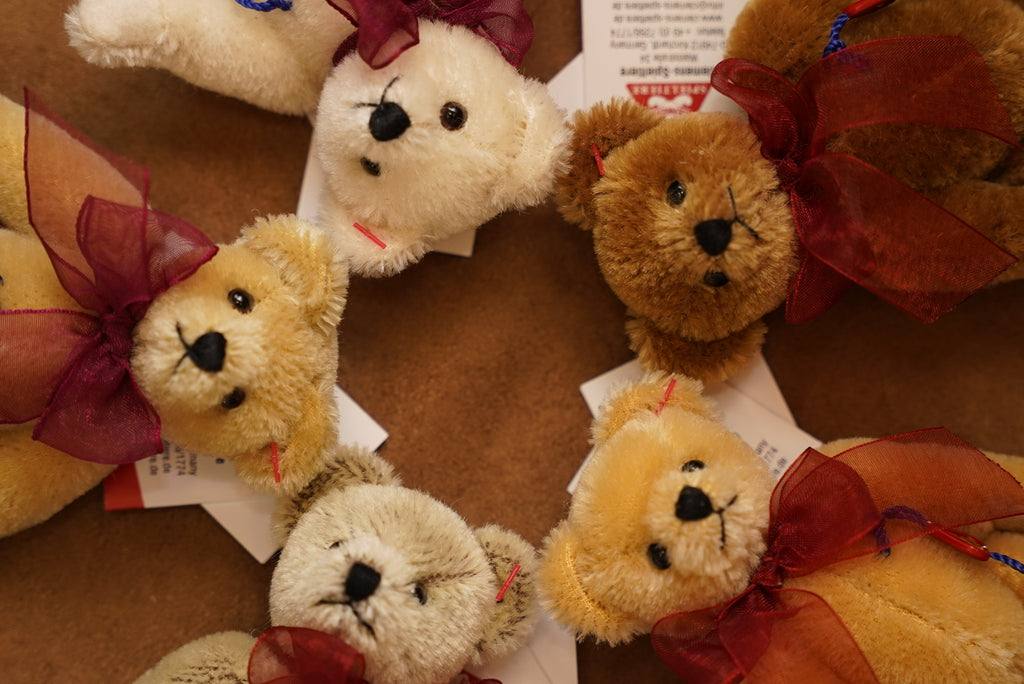 ᴄʟᴇᴍᴇɴꜱ ɴᴏꜱᴛᴀʟɢɪᴀ ᴛᴇᴅᴅʏ 𝟣𝟤.𝟧ᴄᴍ