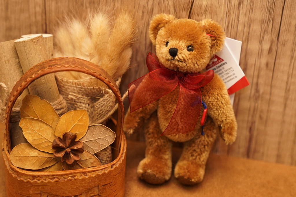 ᴄʟᴇᴍᴇɴꜱ ɴᴏꜱᴛᴀʟɢɪᴀ ᴛᴇᴅᴅʏ 𝟣𝟤.𝟧ᴄᴍ