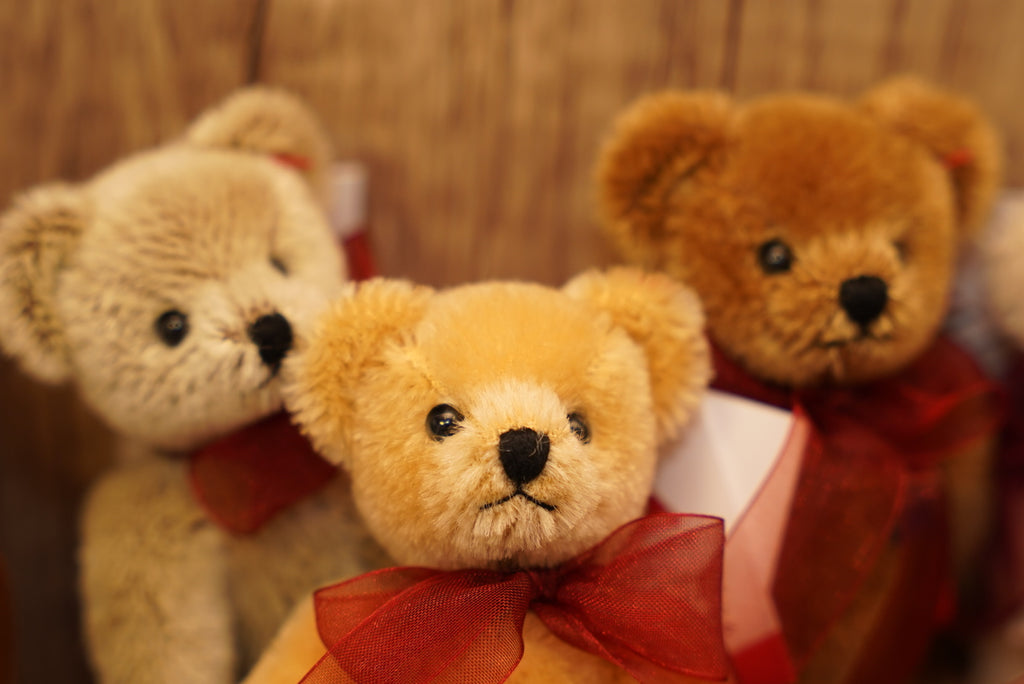 ᴄʟᴇᴍᴇɴꜱ ɴᴏꜱᴛᴀʟɢɪᴀ ᴛᴇᴅᴅʏ 𝟣𝟤.𝟧ᴄᴍ