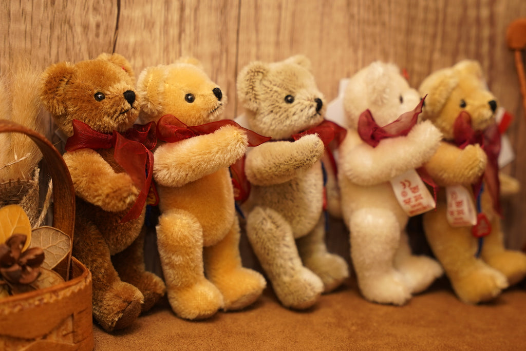 ᴄʟᴇᴍᴇɴꜱ ɴᴏꜱᴛᴀʟɢɪᴀ ᴛᴇᴅᴅʏ 𝟣𝟤.𝟧ᴄᴍ