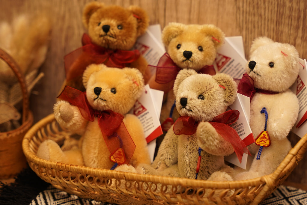 ᴄʟᴇᴍᴇɴꜱ ɴᴏꜱᴛᴀʟɢɪᴀ ᴛᴇᴅᴅʏ 𝟣𝟤.𝟧ᴄᴍ