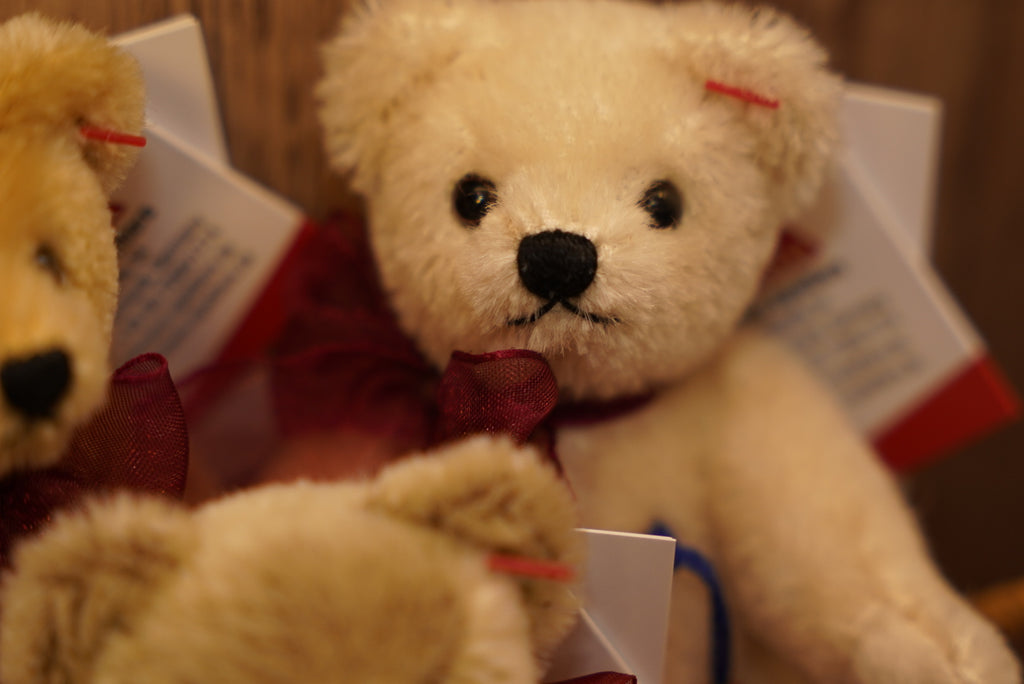 ᴄʟᴇᴍᴇɴꜱ ɴᴏꜱᴛᴀʟɢɪᴀ ᴛᴇᴅᴅʏ 𝟣𝟤.𝟧ᴄᴍ