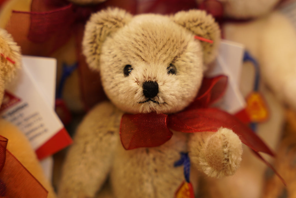 ᴄʟᴇᴍᴇɴꜱ ɴᴏꜱᴛᴀʟɢɪᴀ ᴛᴇᴅᴅʏ 𝟣𝟤.𝟧ᴄᴍ