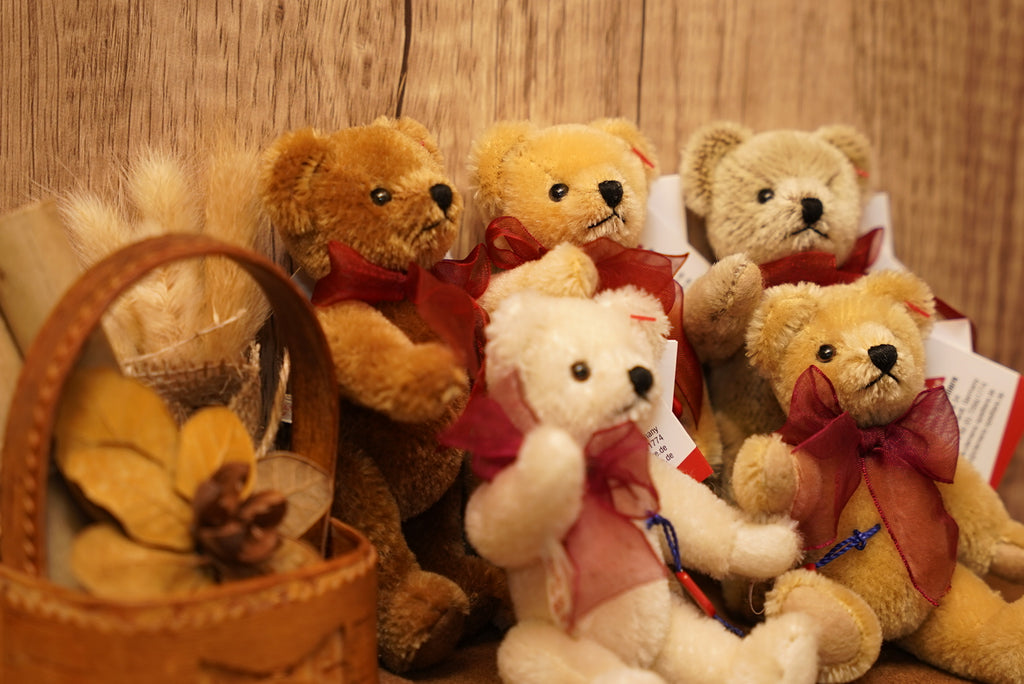 ᴄʟᴇᴍᴇɴꜱ ɴᴏꜱᴛᴀʟɢɪᴀ ᴛᴇᴅᴅʏ 𝟣𝟤.𝟧ᴄᴍ