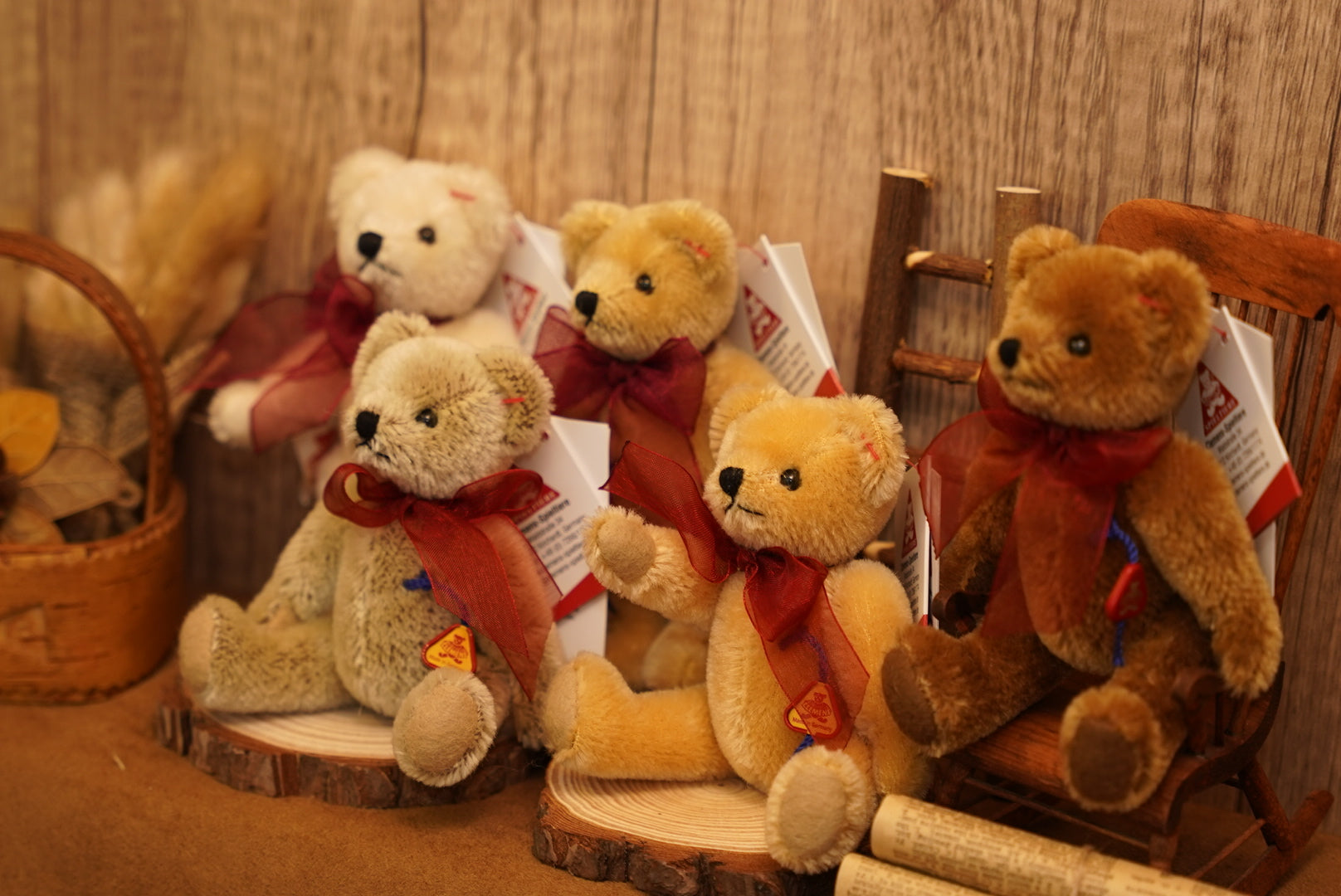 ᴄʟᴇᴍᴇɴꜱ ɴᴏꜱᴛᴀʟɢɪᴀ ᴛᴇᴅᴅʏ 𝟣𝟤.𝟧ᴄᴍ