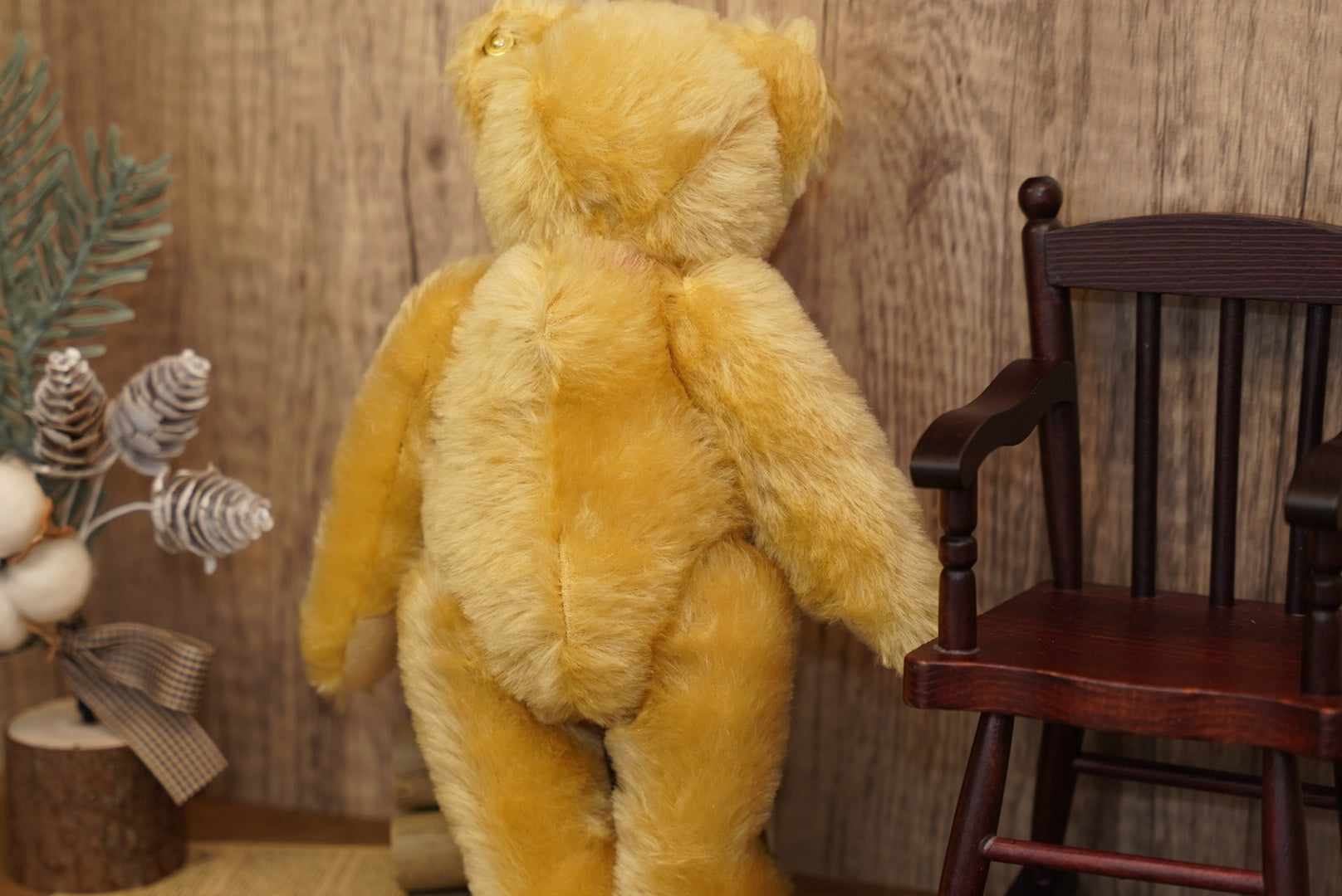 經典中的經典 🐻 ꜱᴛᴇɪꜰꜰ ᴄʟᴀꜱꜱɪᴄ 𝟣𝟫𝟢𝟫